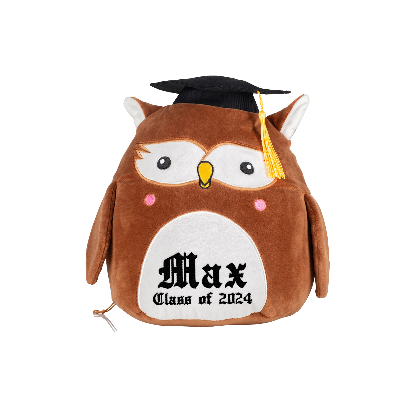Embrodiered Leavers Owl Teddy
