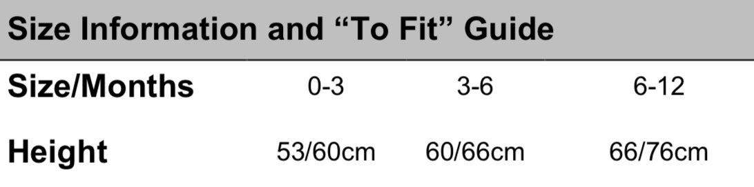 Mini Kids Embroidered Long Sleeve Bodysuit